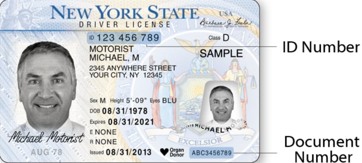 nj drivers license number lookup