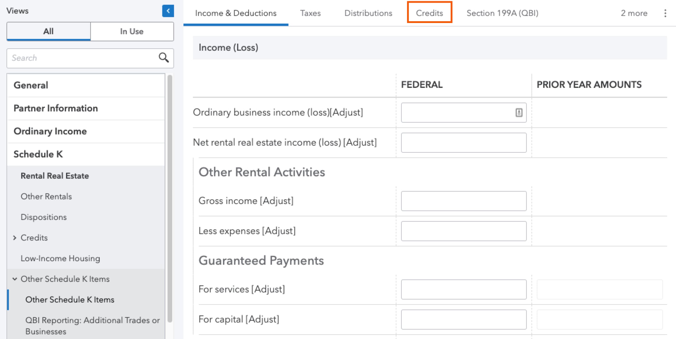 Selecting the Credits tab under the Other Schedule K Items in a partnership return on ProConnect Tax