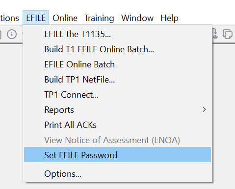 set efile password.png