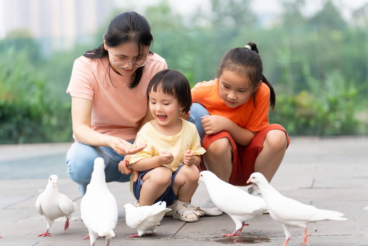 A small Asian child feeds pigeons at the park with her mother and sister.