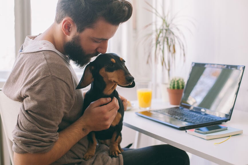一个男人在他的家庭办公室里抱着一只狗