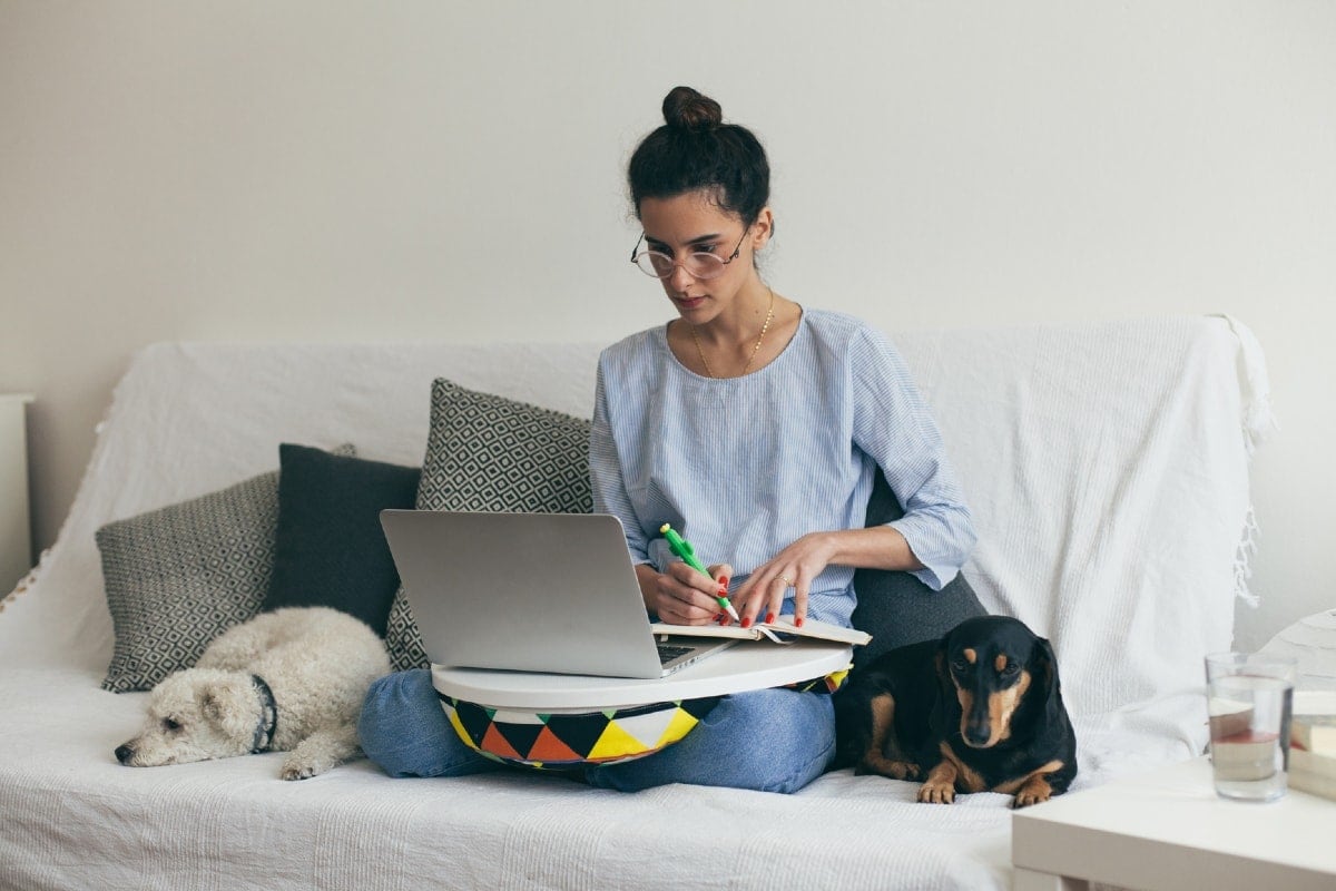 Woman seated on couch with laptop and dogs