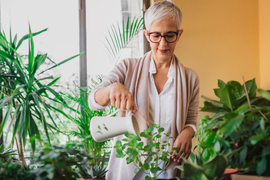 成熟的女人在眼镜她家的植物浇水。