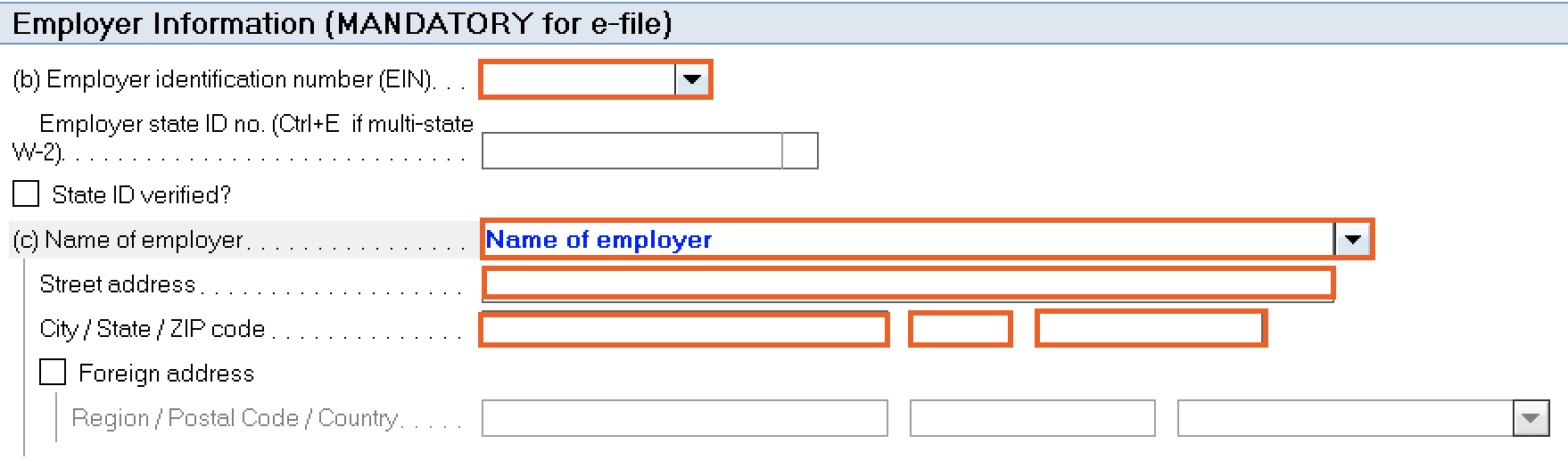 employer-information-w2-lacerte.png