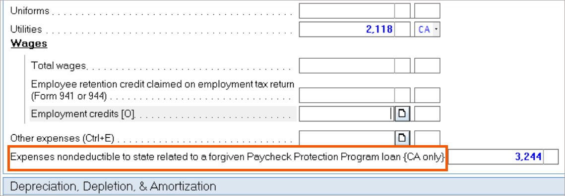 How to enter PPP loans and EIDL grants in the individual module