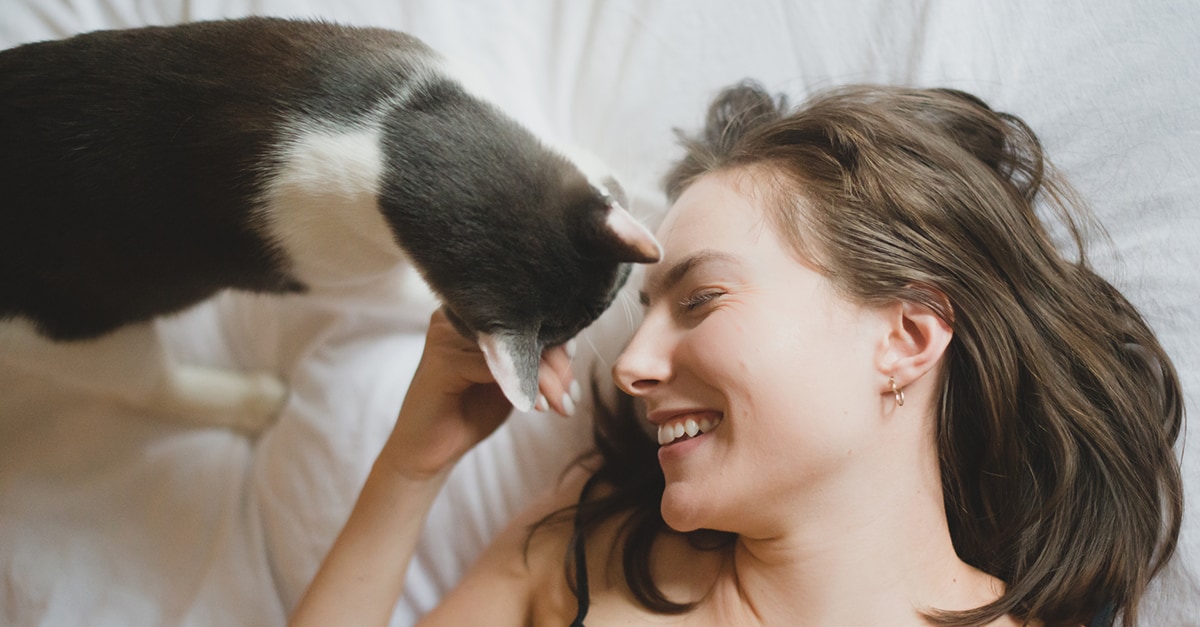 女人在床上逗小猫玩