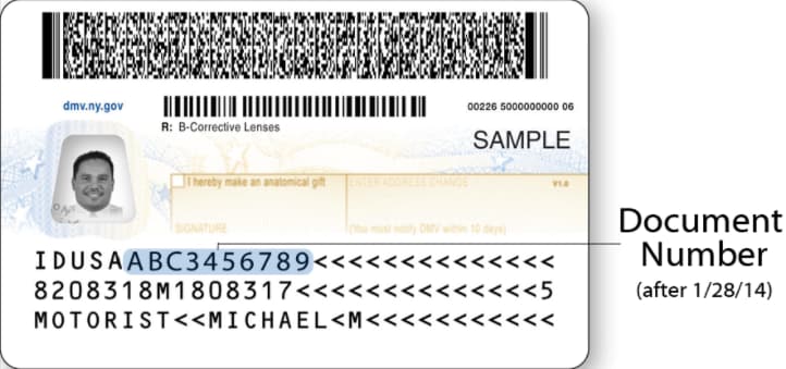 Where do I find my document number so that I can e-file my New York return?