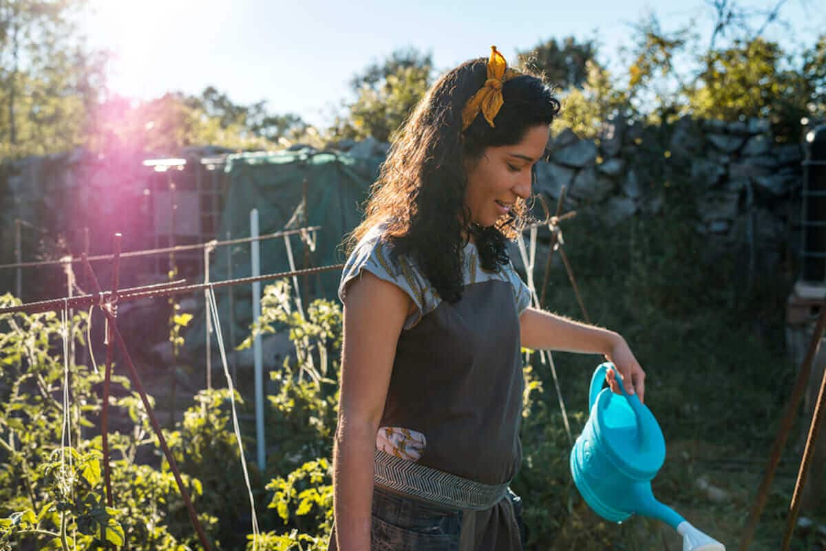 A woman waters her garden in bright sunshine.