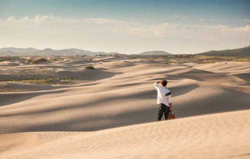 Person observing vast desert.