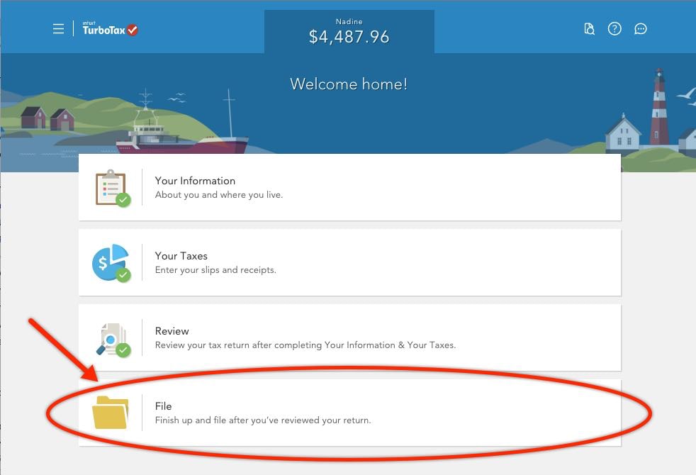 review turbotax return