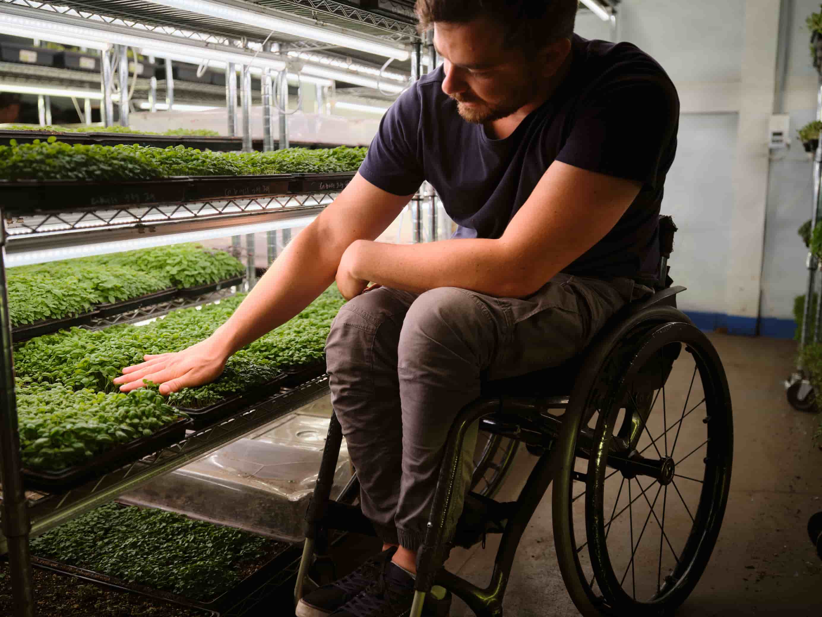 A person touching grass