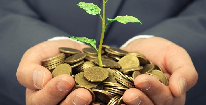 A person holding a bunch of coins and a plant.