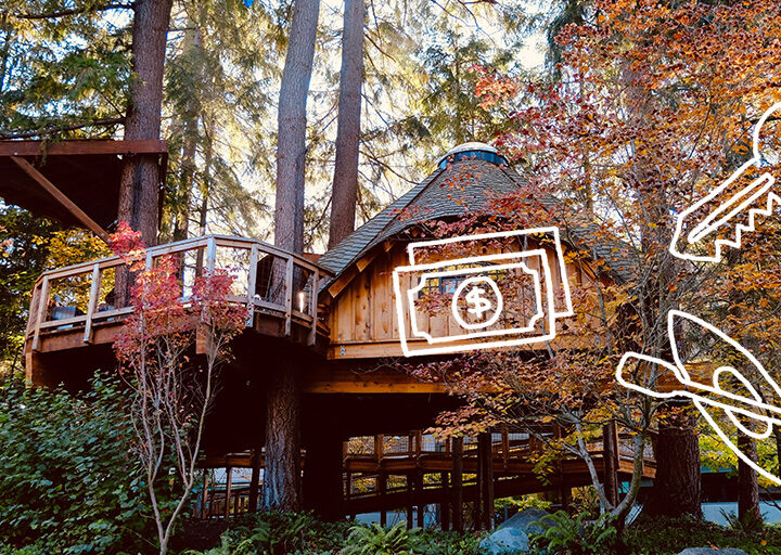 A picture of a old wooden structure in the woods.