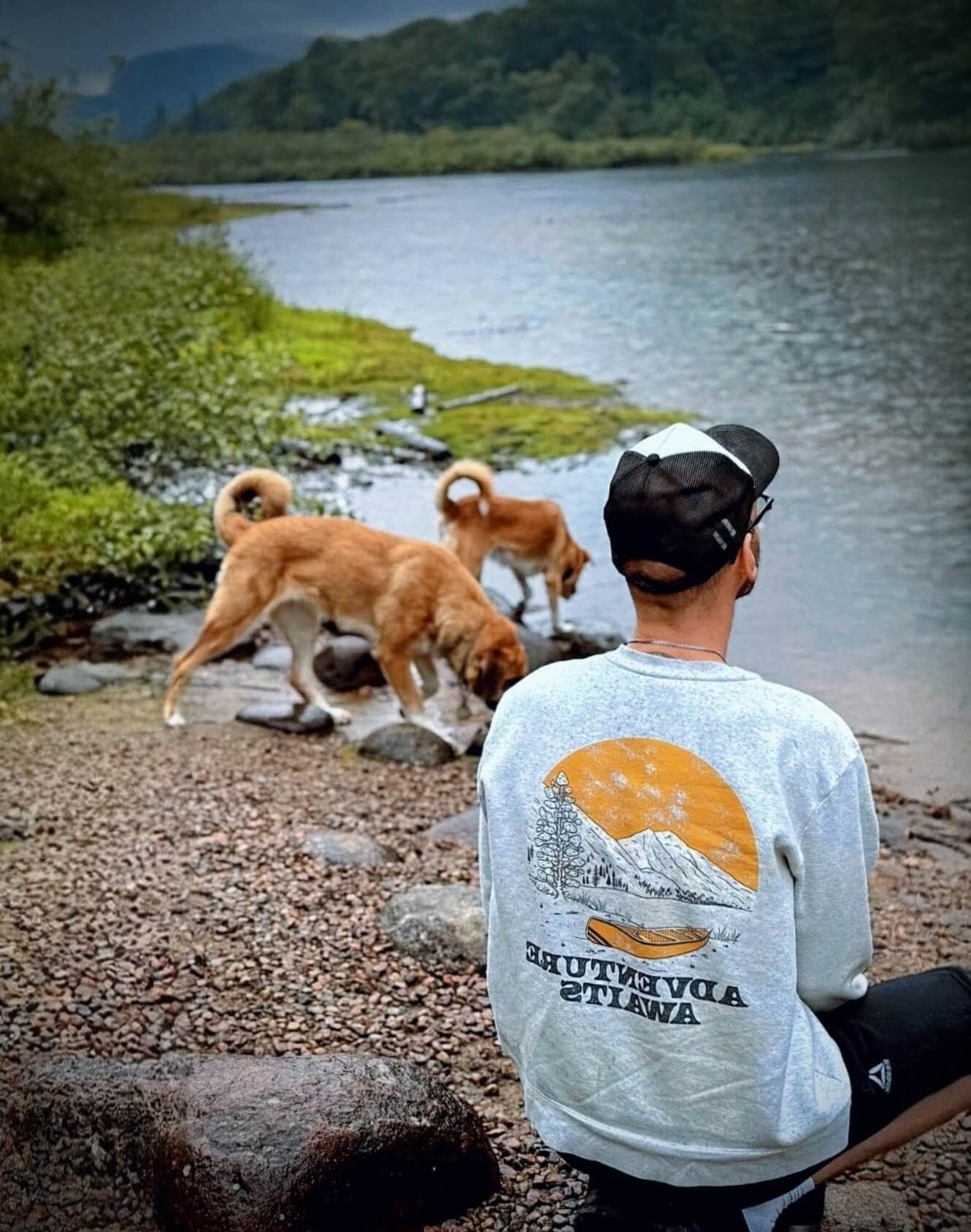 Person with dogs by mountain lake shore