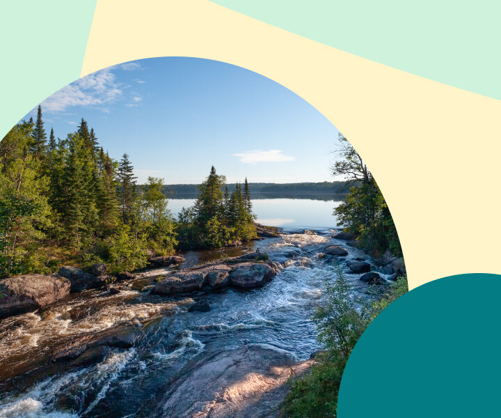 A picture of a lake with trees and rocks.