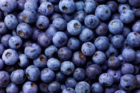 blueberry-tax