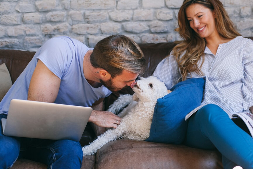 A couple takes a break from taxes to play with their dog.