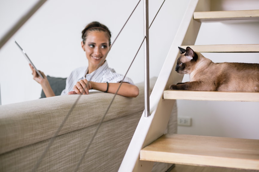 Woman sitting looking at cat