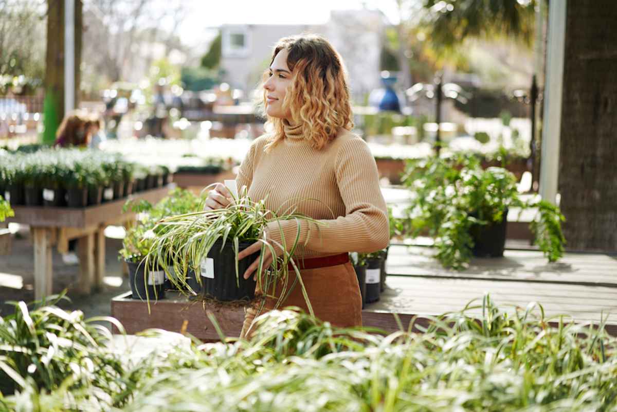 Person holding plant in garden shop