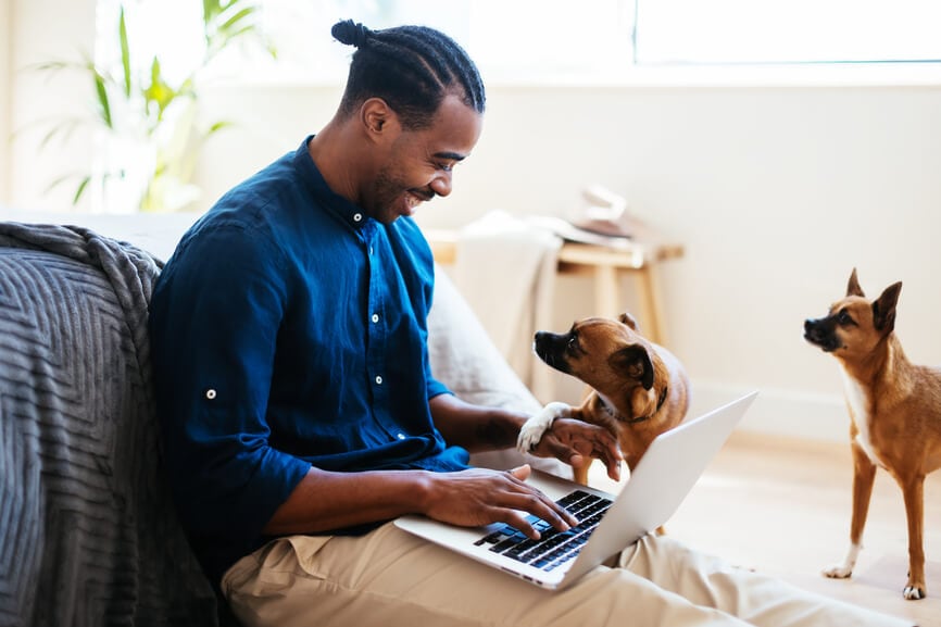 Male small business owner applying for EIDL at home with two puppies.