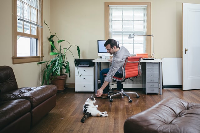 Man working in home office petting his cat