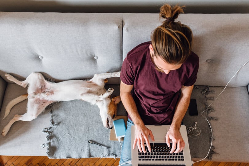 Dog and man sitting on the bed together and work on computer