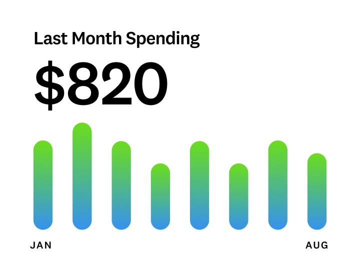 Bar graph showing monthly spending over time.