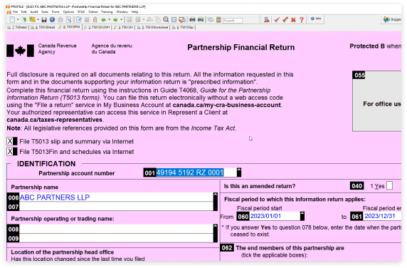 T5 Partnership financial return form on pink background. Shows fields for identification, including partnership and fiscal period applicable.