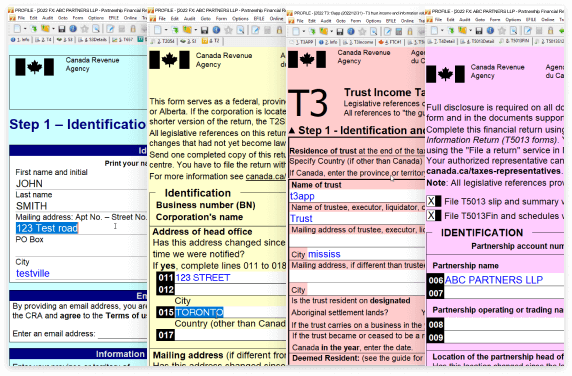 The T1, T2, T3. T4 and T5 forms overlapping each other with turquoise, yellow, peach and pink backdrops respectively. 