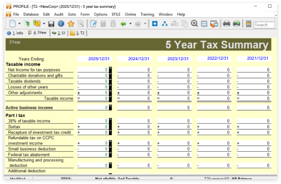 Five year tax summary with 5 columns, one per year, contrasting income and tax.