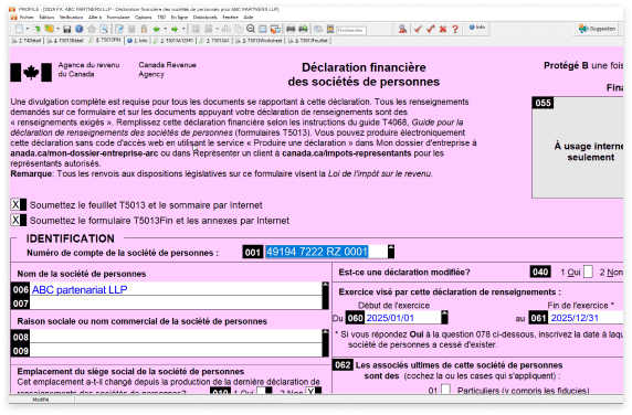 Formulaire de déclaration financière des sociétés de personnes T5 sur fond rose. Affiche les champs d’identification, notamment la société de personnes et l’exercice visé.