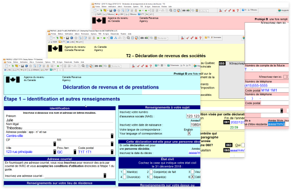 onepay-set-ty22-feature-profile-ca-fr.png Déclarations T1 turquoise, T2 jaune et T3 pêche qui se chevauchent.