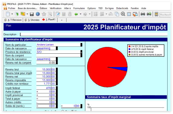 Planificateur d’impôt de ProFile affichant un sommaire des renseignements sur le plan fiscal et un diagramme circulaire.