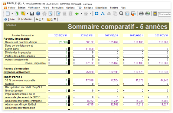 Sommaire des impôts sur cinq ans avec 5 colonnes, une par année, comparant les revenus et les impôts.