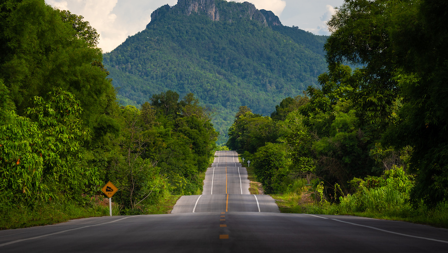 A road with a steeple and trees on either side.