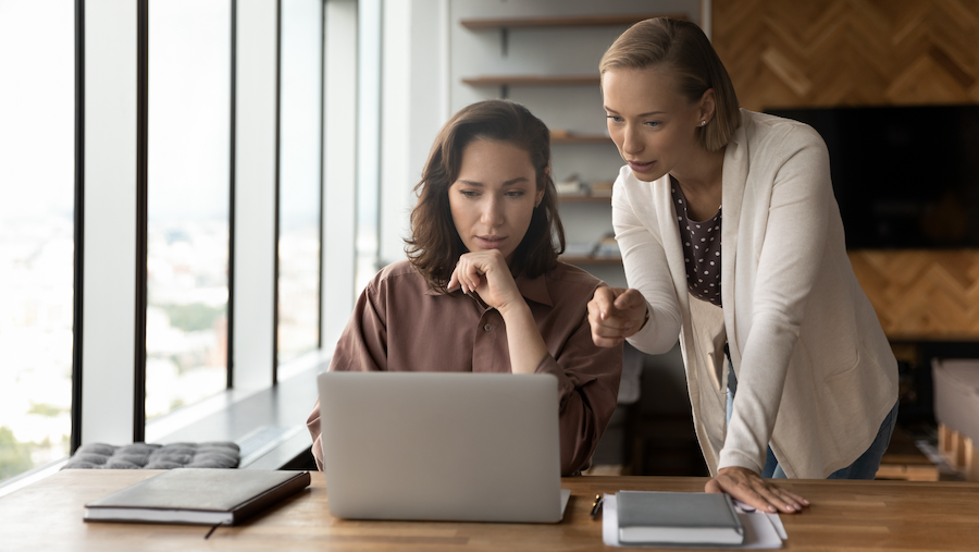 An advisor giving advice to a business owner on her laptop.