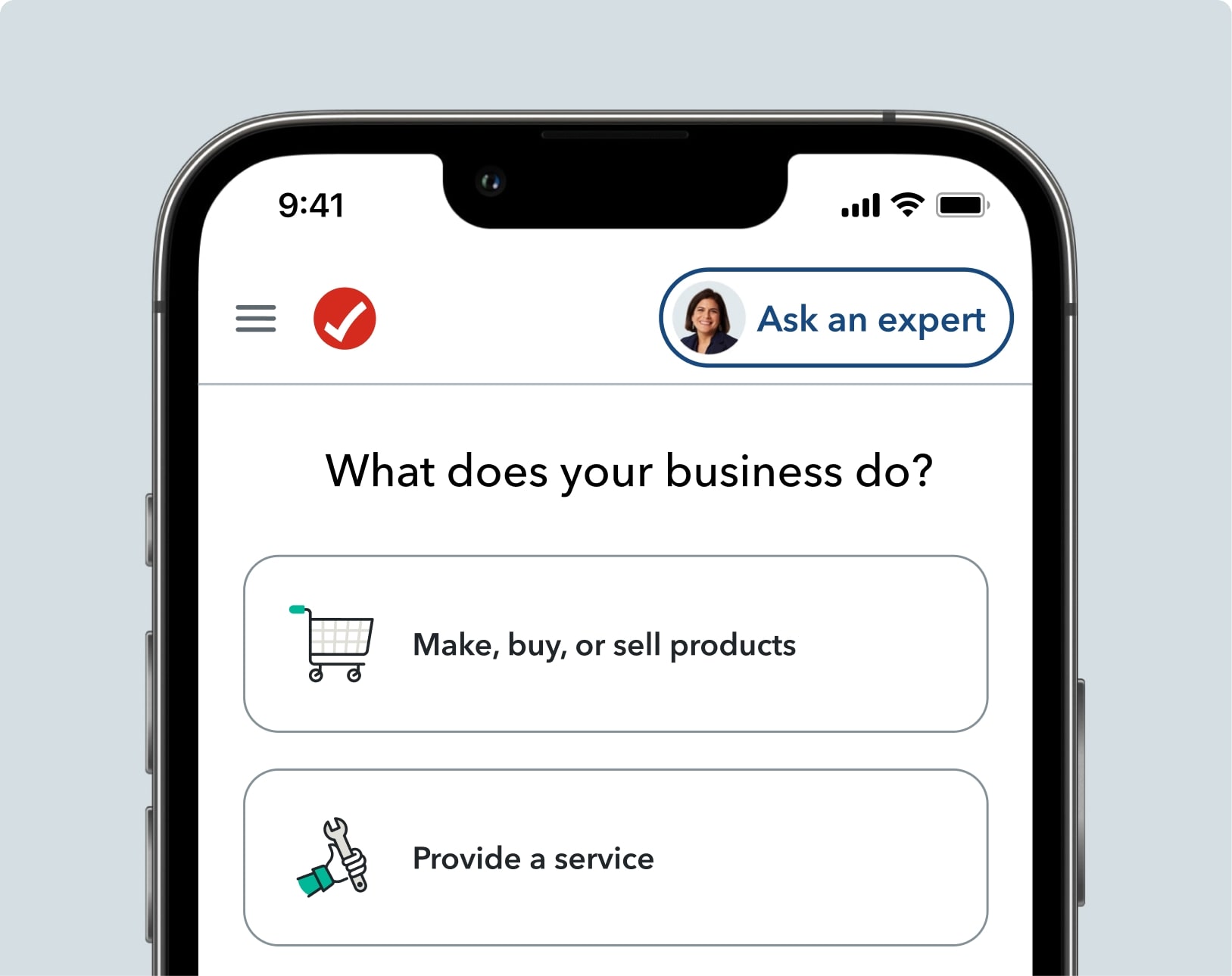TurboTax software asks questions about your business. Two tiles: Make, buy, or sell products or provide a service.