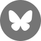 Bluesky icon